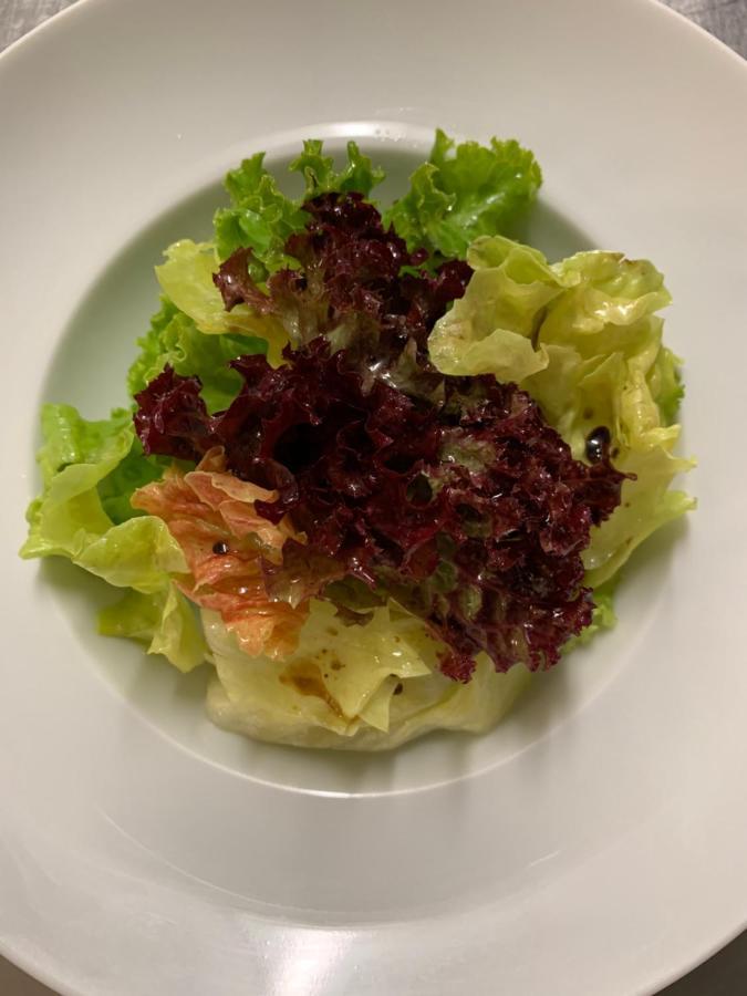 阿尔特波斯特酒店 林道 外观 照片
